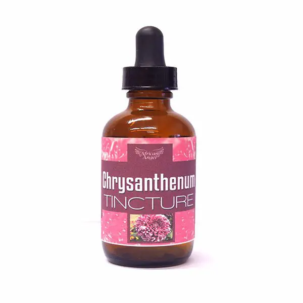 Africa Angel Inc Chrysanthenum Tincture