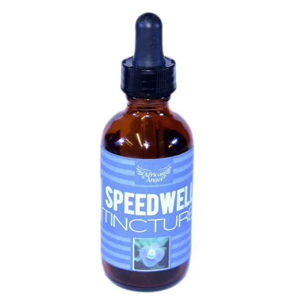 Speedwell Tincture
