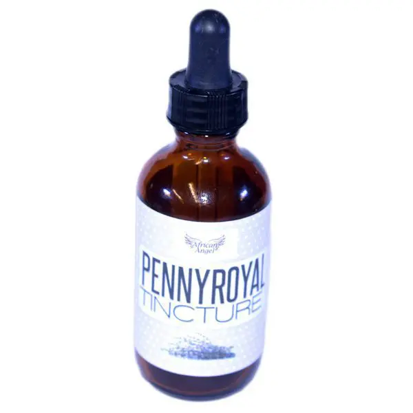 Pennyroyal Tincture