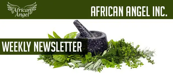 African Angel Weekly Newsletter