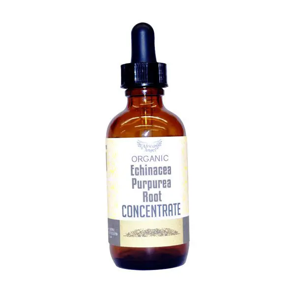 Natural Echinacea Purpurea Root Concentrate