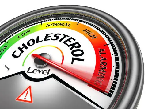 Cholesterol Indicator