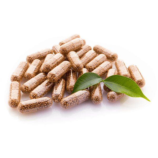 Africa Angel Inc Capsules
