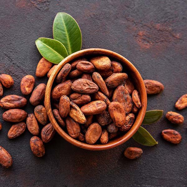 Cacao Nuts