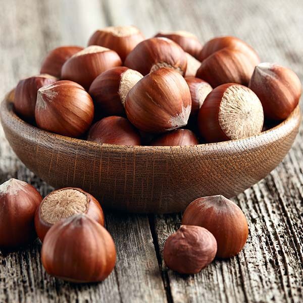 Hazel Nuts
