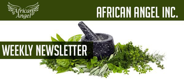 African Angel Weekly Newsletter