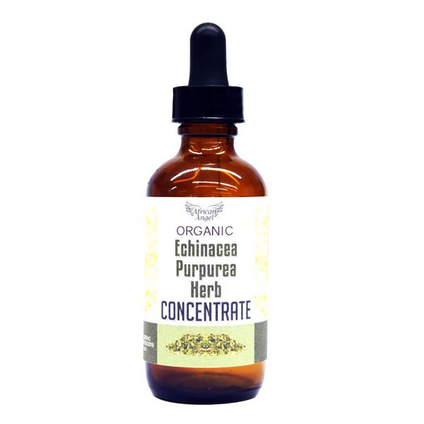 Natural Echinacea Purpurea Herb Concentrate