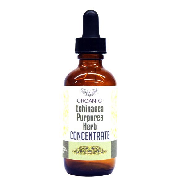 Natural Echinacea Purpurea Herb Concentrate