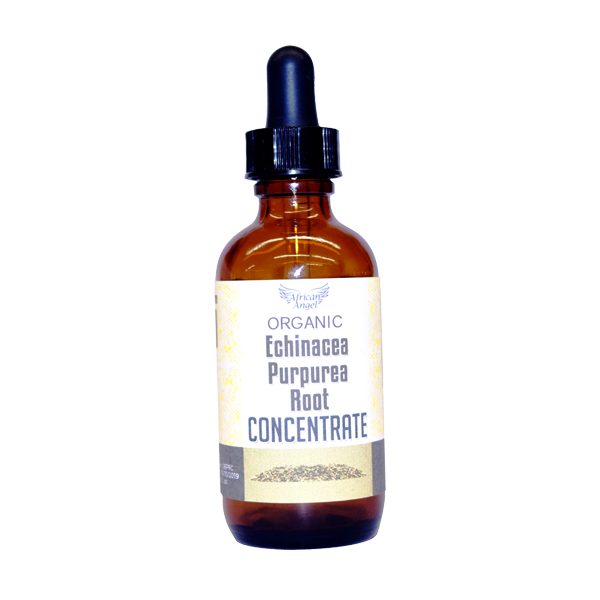 Natural Echinacea Purpurea Root Concentrate