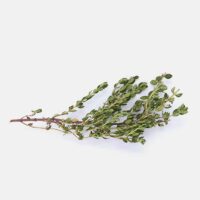 Thyme Powder