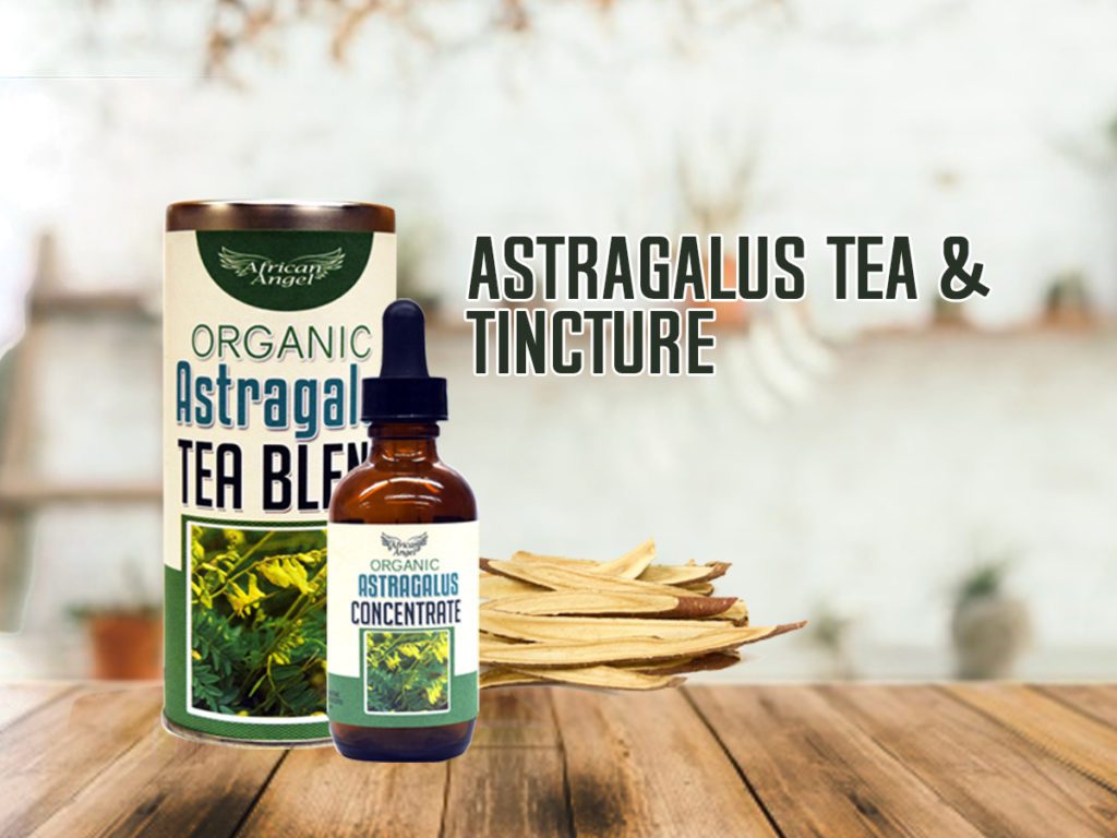 Organic Astragalus Tea Blend and Tincture