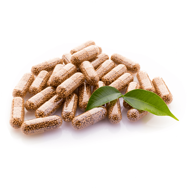 Africa Angel Inc Capsules